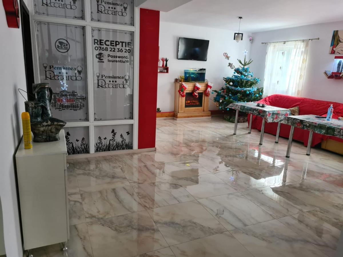 Pensiunea Riccardo Brasov Bagian luar foto