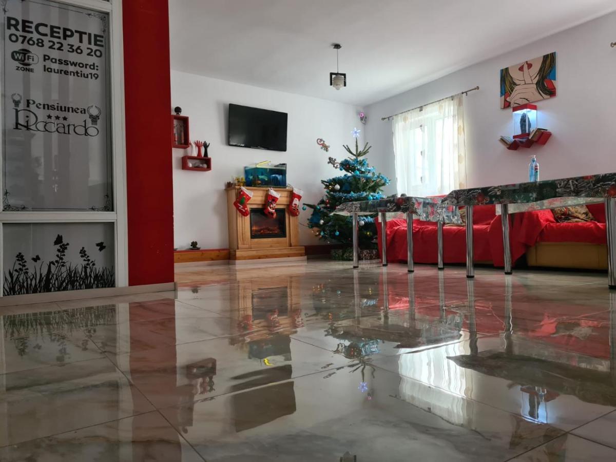 Pensiunea Riccardo Brasov Bagian luar foto
